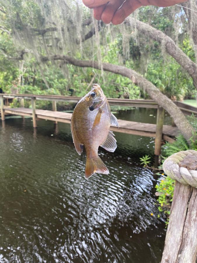 ホテル Lake Front Rv Experience Close To Port Canaveral And Kennedy Space Center ティテュスビル エクステリア 写真